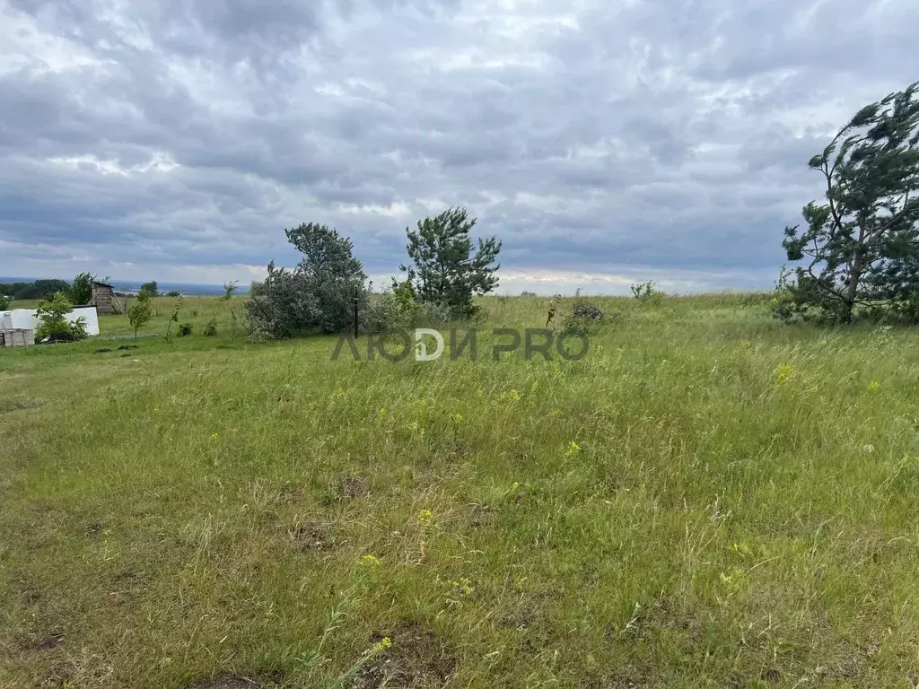 Участок в Саратовская область, с. Усть-Курдюм ул. Полевая, 4 (11.0 ... - Фото 1