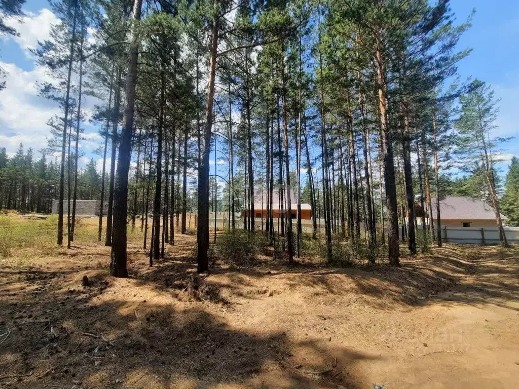 Участок в Забайкальский край, Читинский район, Атамановское городское ... - Фото 1