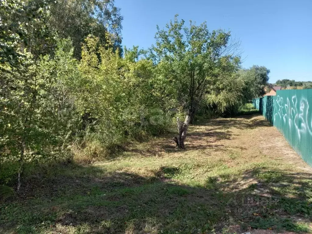 Участок в Амурская область, Благовещенск  (15.0 сот.) - Фото 1
