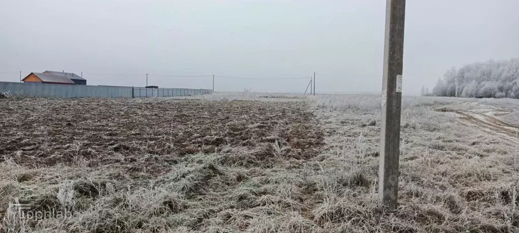 Участок в Марий Эл, Медведевский район, Азяковское с/пос, д. Шеклянур ... - Фото 2