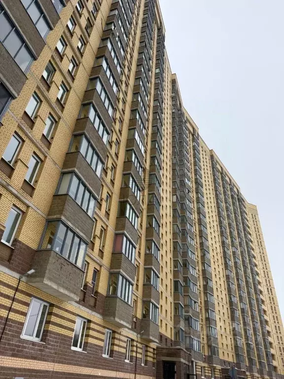 Студия Ленинградская область, Всеволожский район, д. Новое Девяткино ... - Фото 1