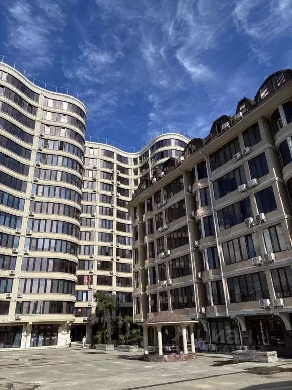 Студия Краснодарский край, Сочи Светлана мкр, ул. Лысая Гора, 23/1 ... - Фото 2