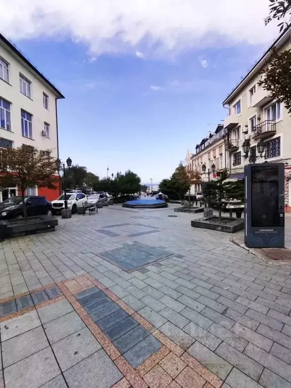 3-к кв. Приморский край, Владивосток ул. Адмирала Фокина, 3 (68.0 м) - Фото 1
