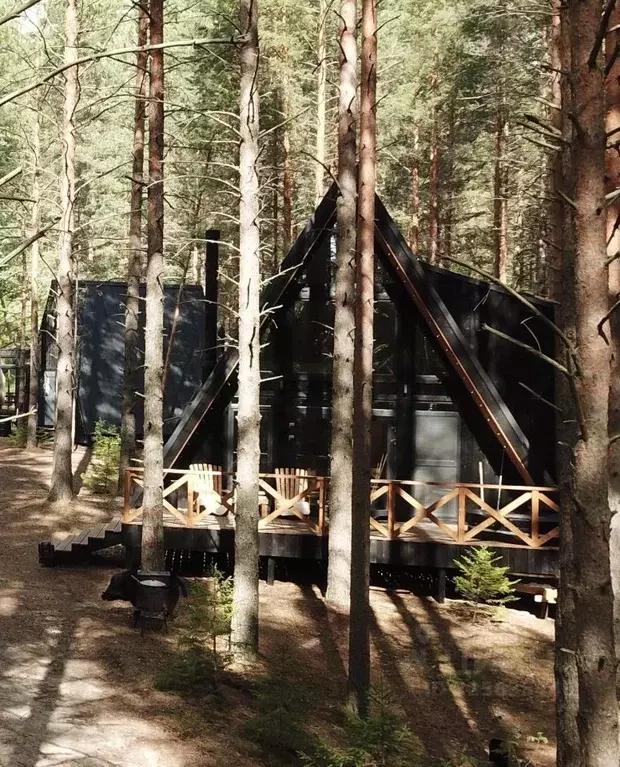 Дом в Ленинградская область, Приозерский район, Ромашкинское с/пос, ... - Фото 2