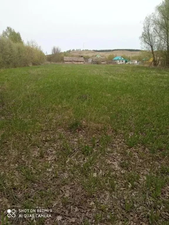 Участок в Башкортостан, Буздякский район, Кузеевский сельсовет, с. ... - Фото 1