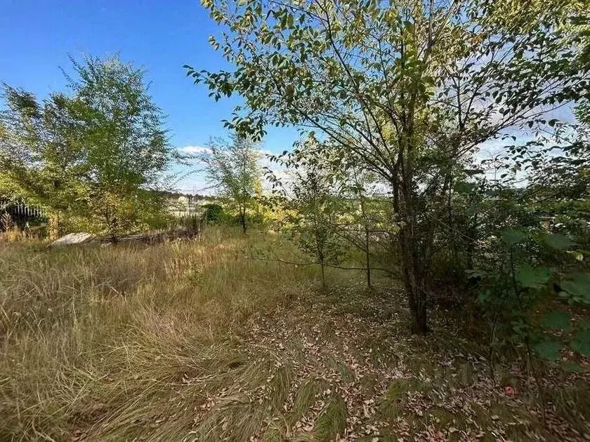 Участок в Самарская область, Тольятти Березка СТ,  (6.0 сот.) - Фото 1