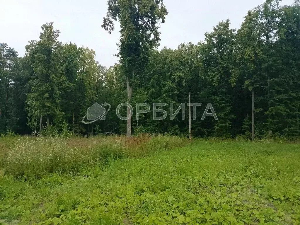 Участок в Тюменская область, Нижнетавдинский муниципальный округ, ... - Фото 2