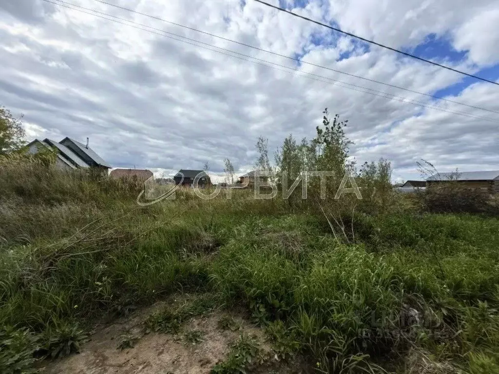 Участок в Тюменская область, Тюменский район, с. Мальково Новая ул., ... - Фото 0