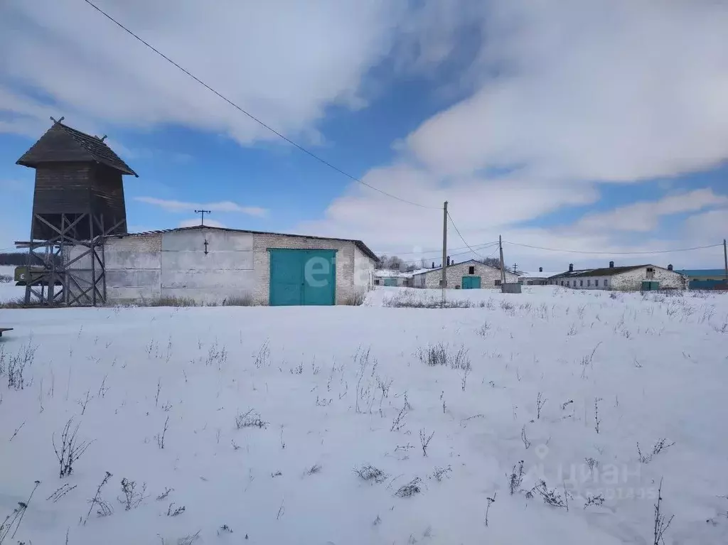 Склад в Башкортостан, Кармаскалинский район, Шаймуратовский сельсовет, ... - Фото 2