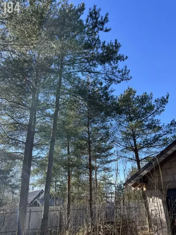Дом в Ленинградская область, Всеволожский район, Свердловское ... - Фото 2