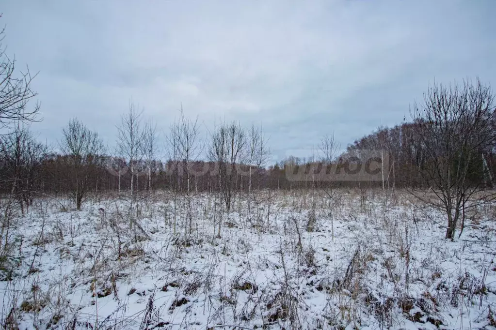 Участок в Калужская область, Жуковский муниципальный округ, с. ... - Фото 1