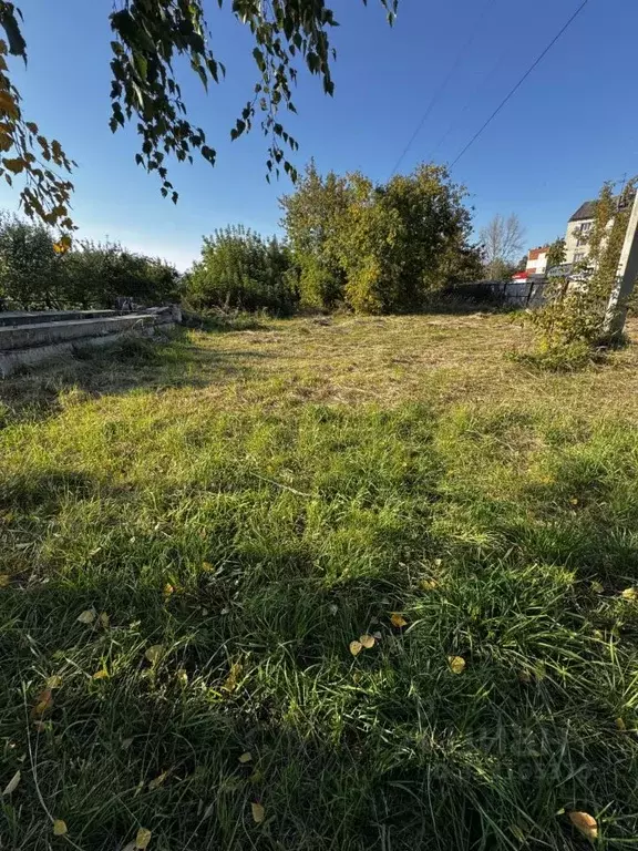 Участок в Нижегородская область, Кстово ул. Шохина (9.06 сот.) - Фото 1