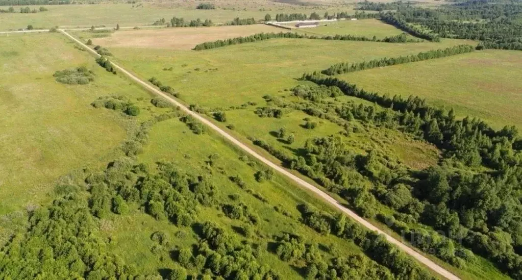 Участок в Московская область, Шаховская муниципальный округ, д. ... - Фото 1