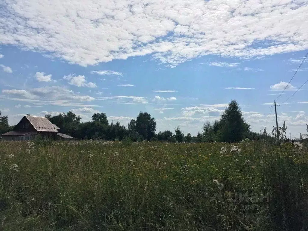 Купить Участок В Черное Московской Области