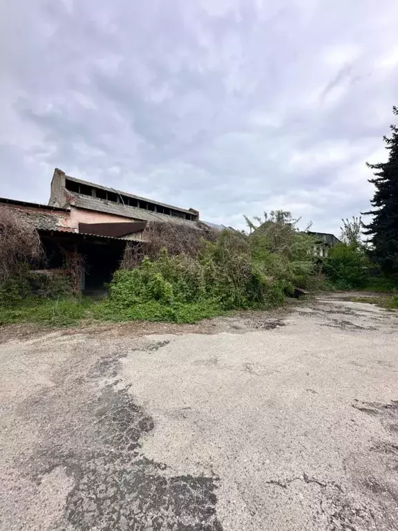 Помещение свободного назначения в Ставропольский край, Ессентуки ... - Фото 1