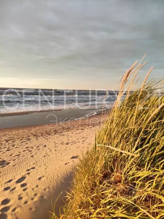 Участок в Калининградская область, Зеленоградск ул. Крепкая, 4 (7.96 ... - Фото 1