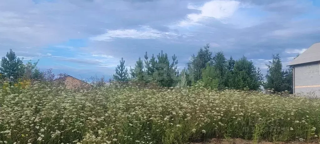 Участок в Свердловская область, Нижний Тагил Южный мкр,  (11.29 сот.) - Фото 1