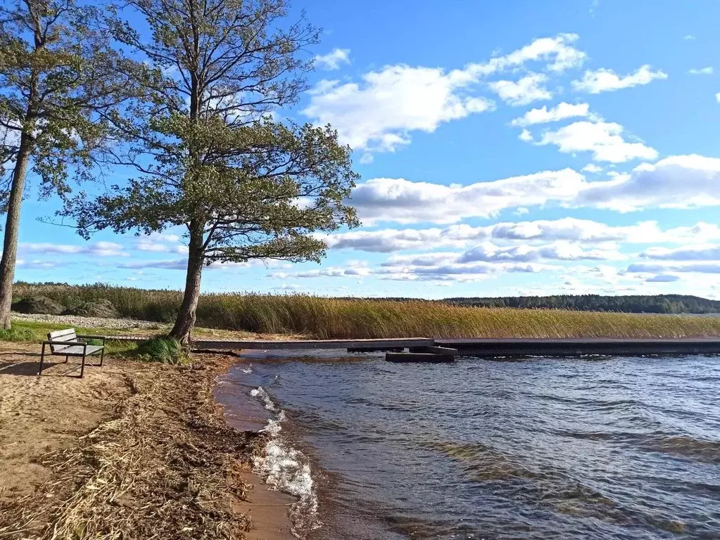 Участок в Ленинградская область, Приозерский район, Плодовское с/пос, ... - Фото 1