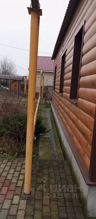 Дом в Воронежская область, Новоусманский район, пос. Воля ул. Свободы, ... - Фото 2