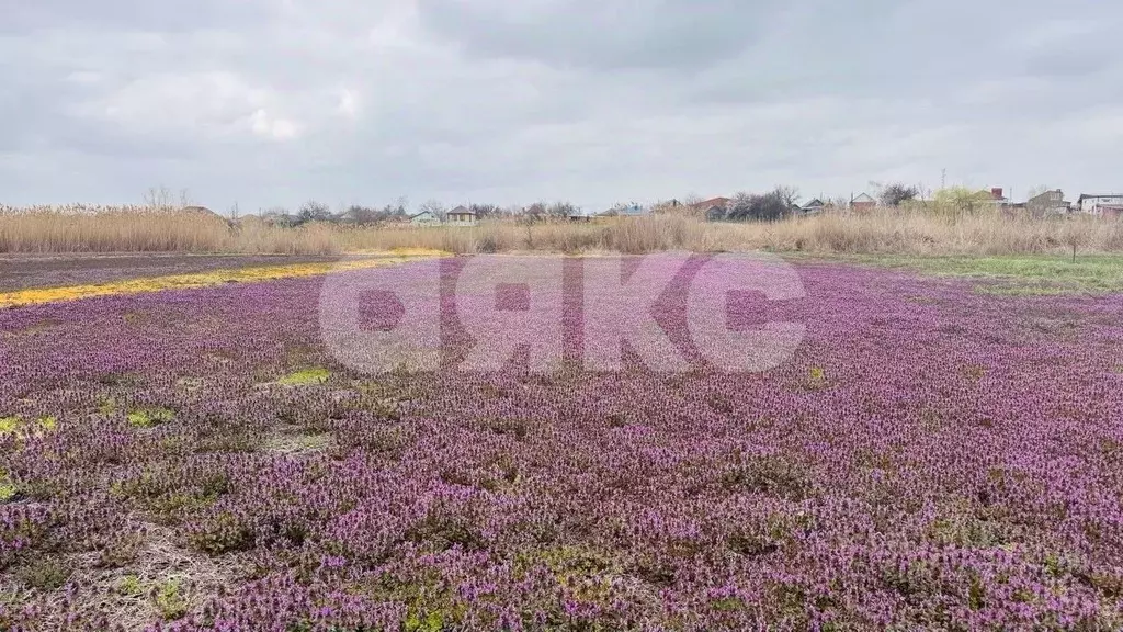 Участок в Краснодарский край, Кореновск Западная ул. (15.0 сот.) - Фото 1