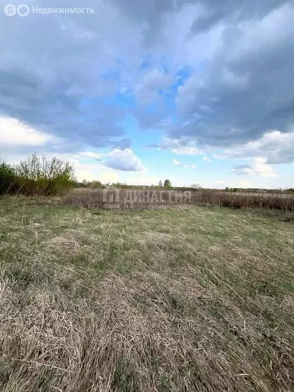Участок в село Бессоновка, садоводческое товарищество Рябинушка (10 м) - Фото 0