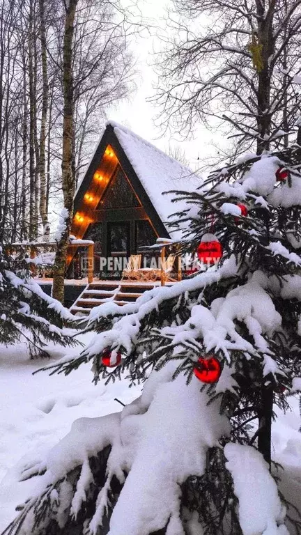 Дом в Московская область, Клин городской округ, д. Грешнево ул. ... - Фото 1