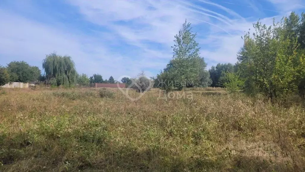 Участок в Волгоградская область, Среднеахтубинский район, Куйбышевское ... - Фото 1