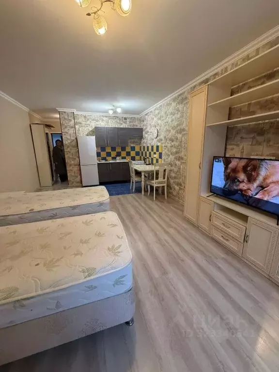 Студия Московская область, Одинцовский городской округ, с. Немчиновка ... - Фото 2