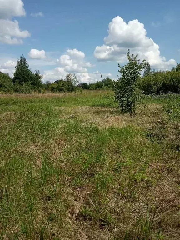 Участок в Ивановская область, Тейковский район, Нерльское городское ... - Фото 1