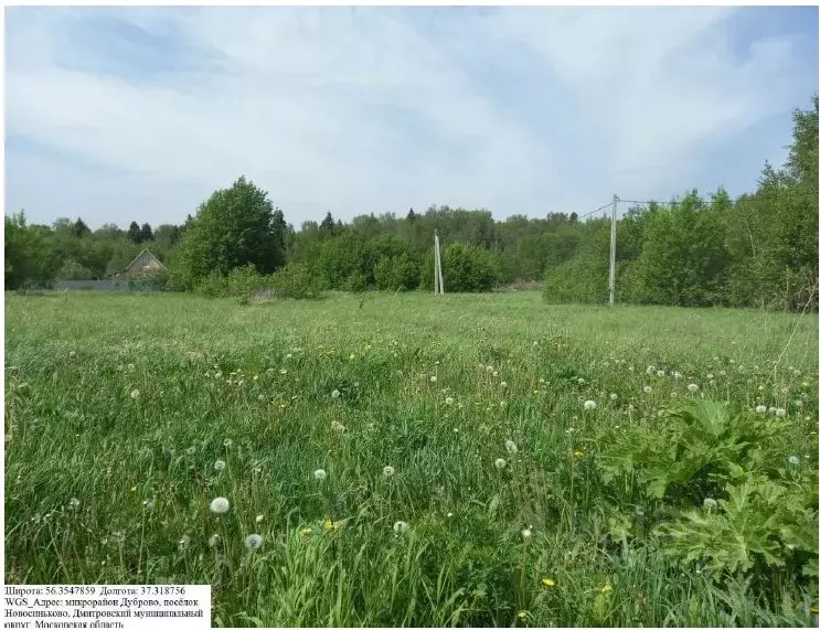 Участок в Московская область, Дмитровский муниципальный округ, пос. ... - Фото 1