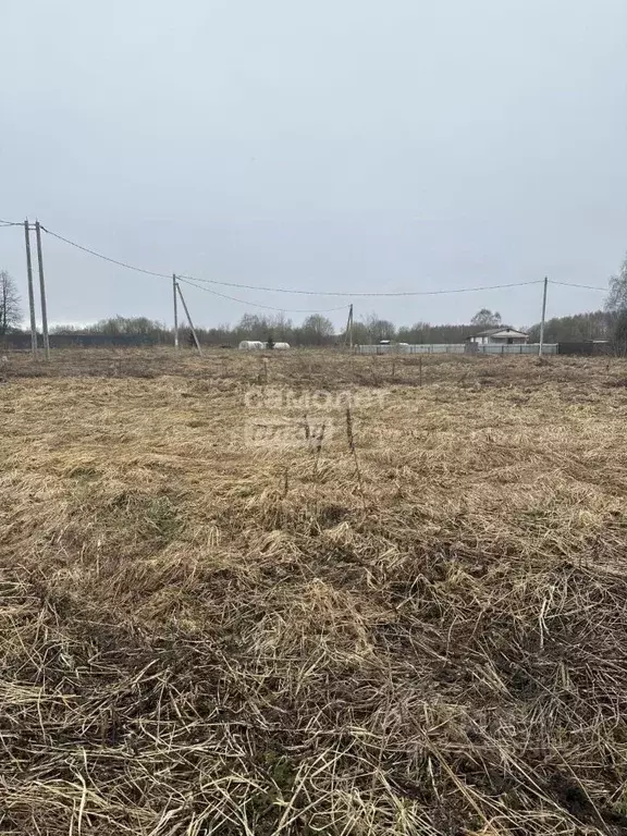 Участок в Московская область, Дмитровский муниципальный округ, пос. ... - Фото 1