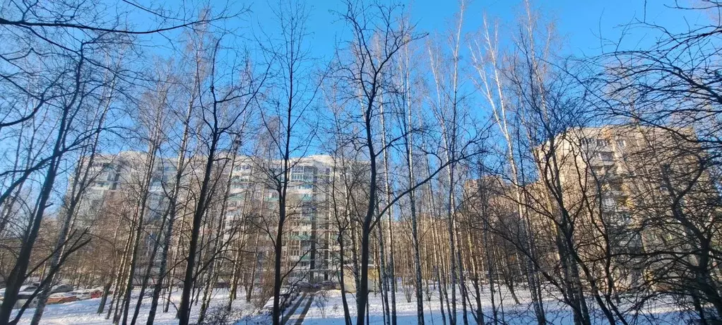 1-к кв. Санкт-Петербург Наличная ул., 36К3 (31.8 м) - Фото 1