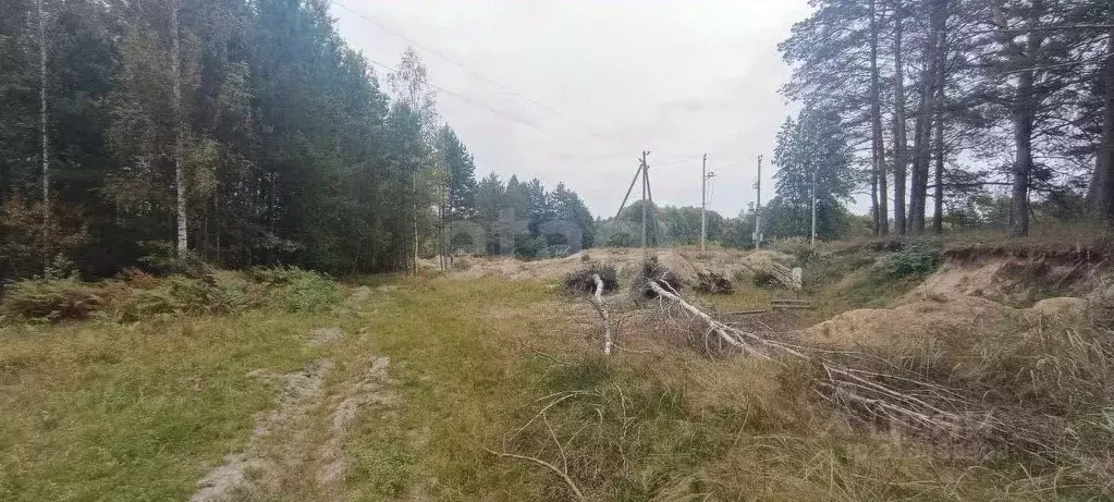 Участок в Брянская область, Карачев  (1937.0 сот.) - Фото 1