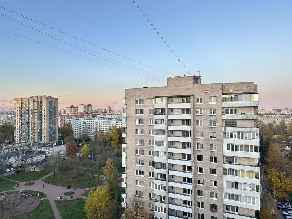 2-к кв. Санкт-Петербург ул. Дыбенко, 11К2 (56.1 м) - Фото 1