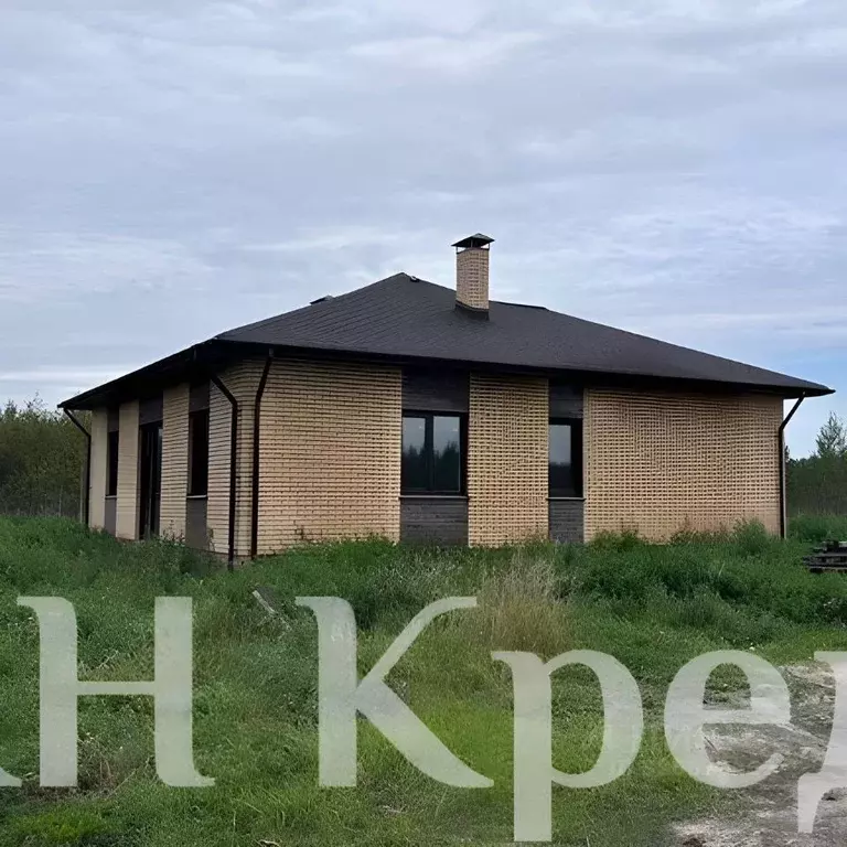 Дом в Омская область, Омский район муниципальный округ, с. Пушкино ул. ... - Фото 1