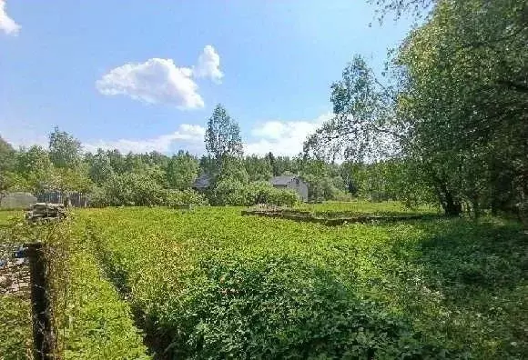 Участок в Московская область, Наро-Фоминский городской округ, Горки ... - Фото 1