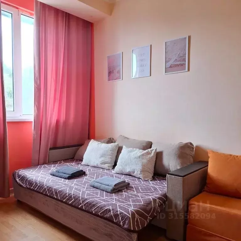 Студия Краснодарский край, Сочи Виноградная ул., 224/11 (25.0 м) - Фото 0