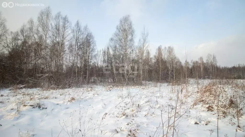Участок в село Корнилово, микрорайон Красная горка 2, Сретенская улица ... - Фото 0