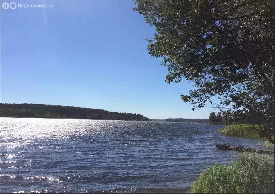 3-комнатная квартира: село Едрово, улица Калинина, 16 (52 м) - Фото 1