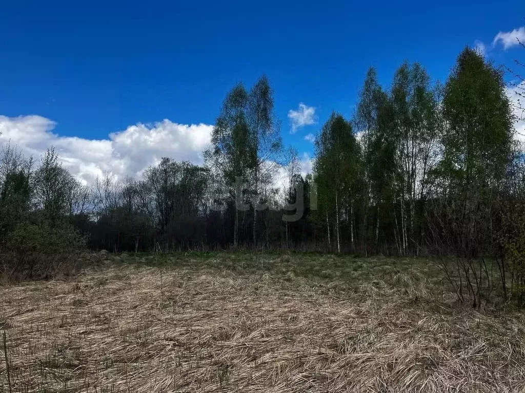 Участок в Смоленская область, Смоленский муниципальный округ, д. ... - Фото 0