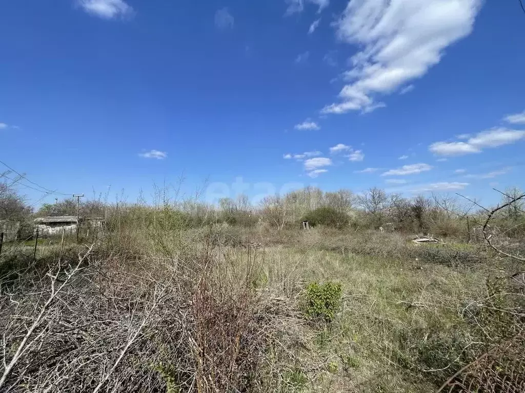 Участок в Ростовская область, Азовский район, Новоалександровское ... - Фото 1