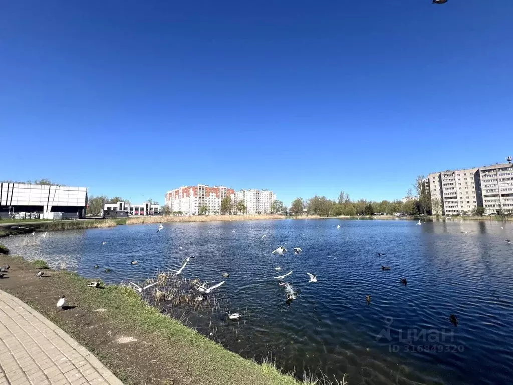 Студия Новгородская область, Великий Новгород наб. Колмовская, 71 ... - Фото 1