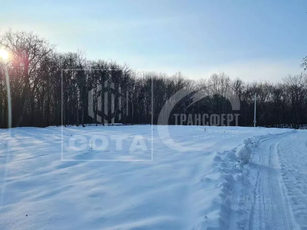 Участок в Воронежская область, Новоусманский район, ... - Фото 1