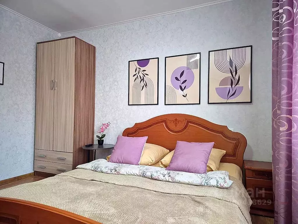 Студия Челябинская область, Чебаркуль ул. Заря, 27Б (23.0 м) - Фото 2