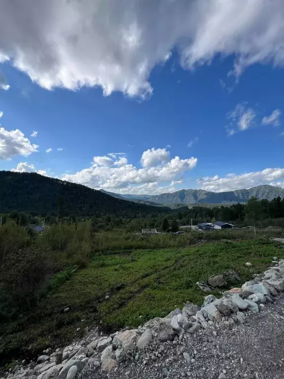 Участок в Алтай, Майминский район, Манжерокское с/пос, с. Озерное  ... - Фото 2