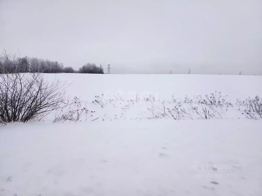 Участок в Брянская область, Брянский район, с. Глинищево ул. П.М. ... - Фото 2