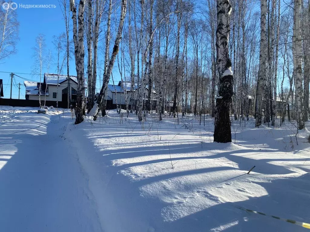 Участок в Иркутский муниципальный округ, посёлок Новая Разводная, ... - Фото 1