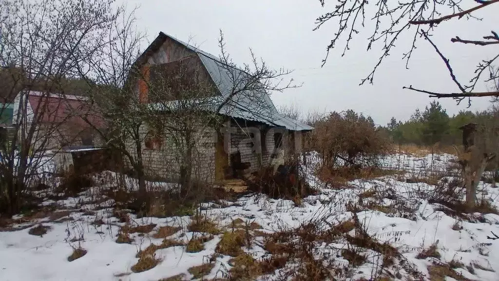 Участок в Владимирская область, Муром Черемушки СНТ,  (4.0 сот.) - Фото 1