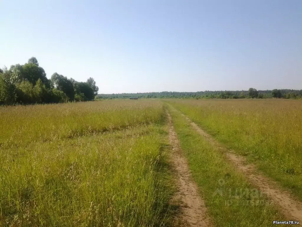 Земельные участки новгородский