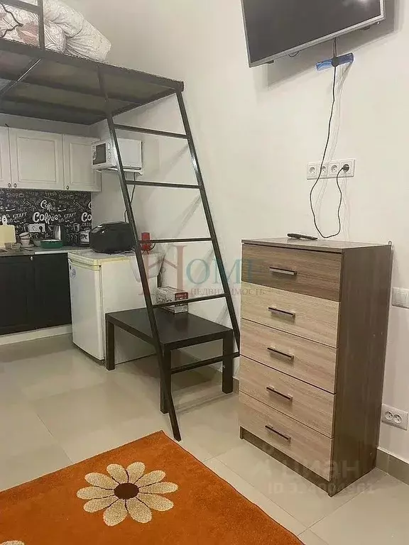 Студия Новосибирская область, Новосибирск Путевая ул., 5 (17.0 м) - Фото 2